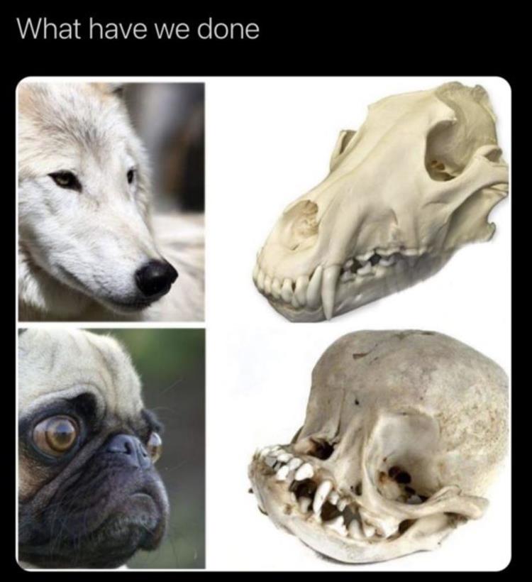 when-what-have-we-done.jpg