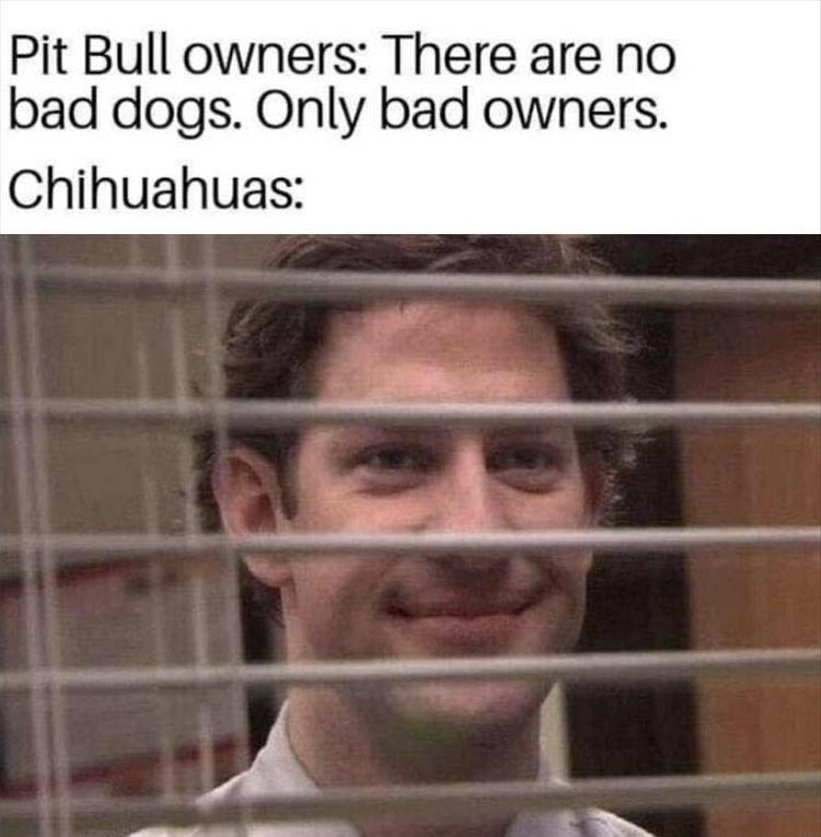 when-you-own-a-dog.jpg