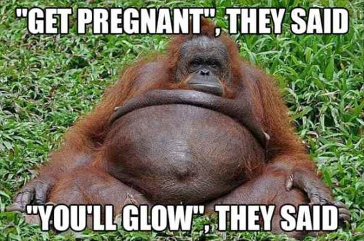 when-youre-pregnant.jpg