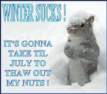 Winter-Sucks.jpg