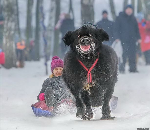 Winter_Randomness_Picdump_11.jpg