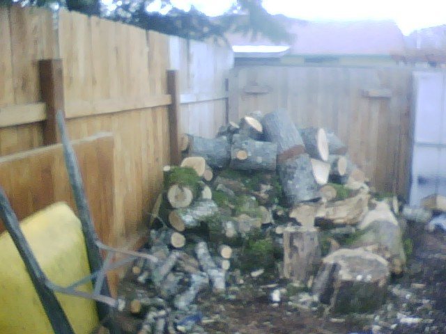 wood 1.jpg