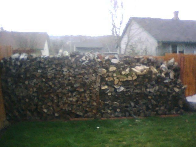 wood 2.jpg