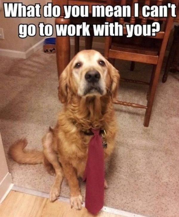 work-happens-28-photos-27.jpg