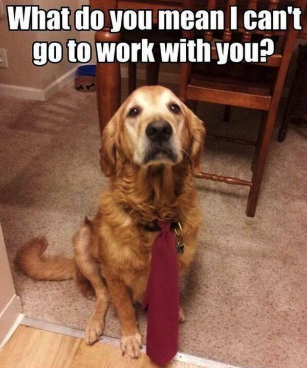 work-happens-30-photos-27.jpg