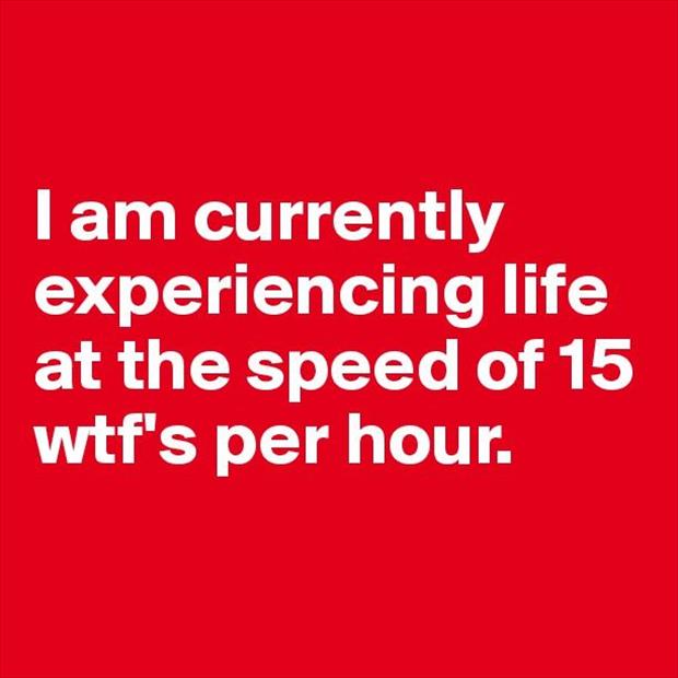 wtf-funny-quotes.jpg