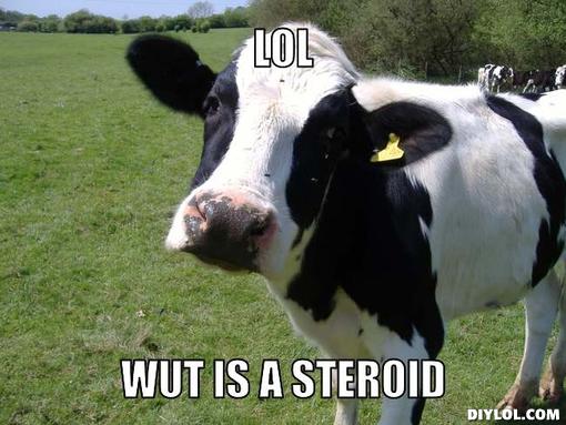 wut cow.jpg