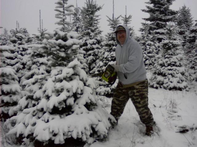 Xmas Tree2.jpg