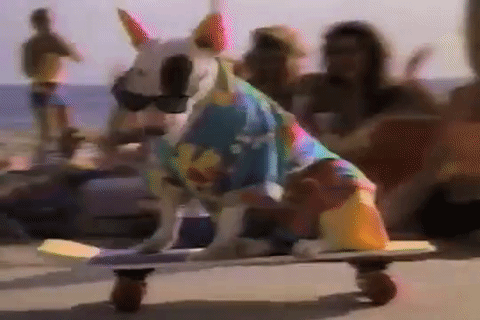 xT5LMAwnZCc44N9BxC.gif