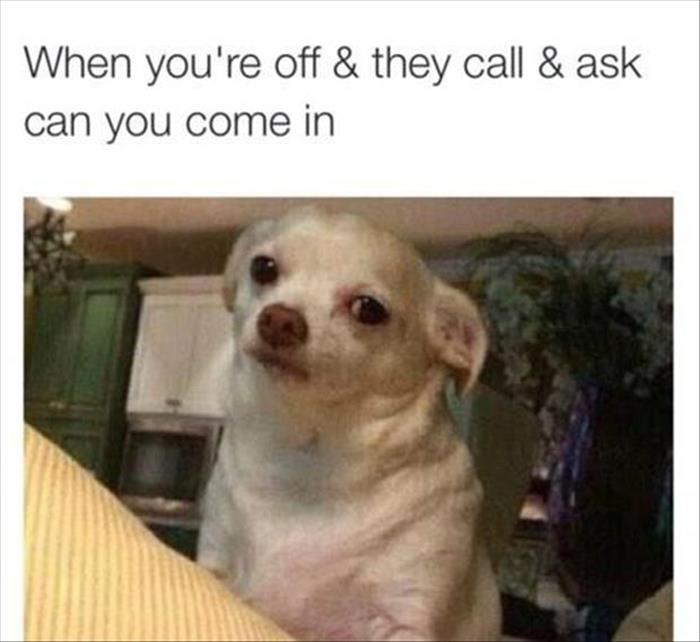 y-funny-pictures-19.jpg