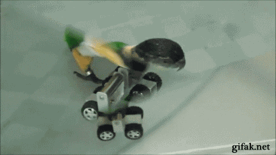 Y0CSq47jvUiFW.gif