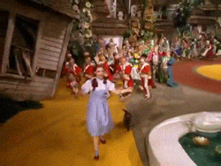 ycdNP5BQRz51S.gif