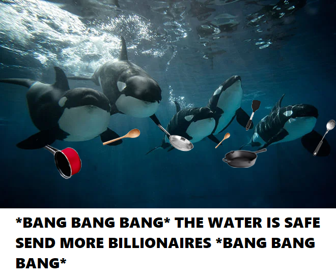 ylprxd1k5d7b1.png