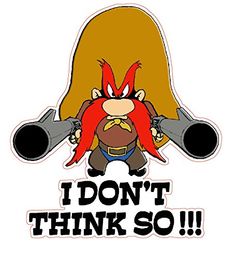 Yosemite Sam.jpg
