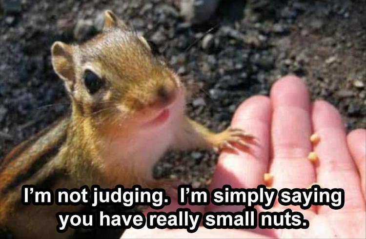 you-have-bigger-ones.jpg