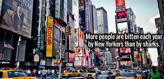 Your Brain Will Get Fired Up With These Facts 007.jpg