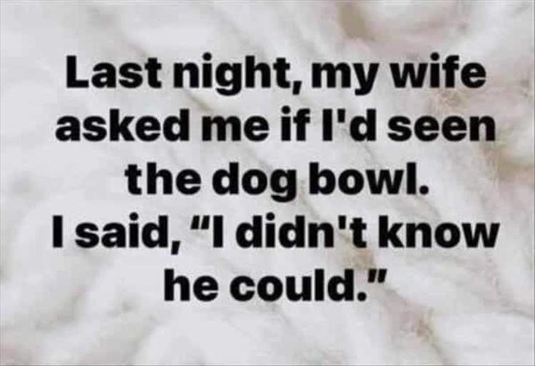 your-dad-jokes.jpeg