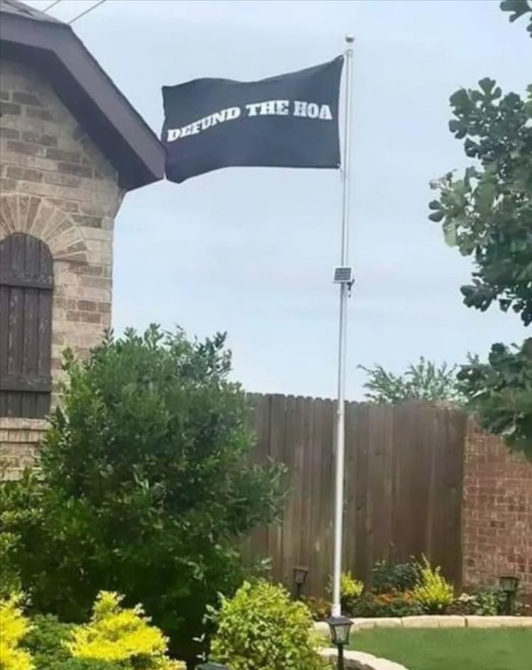 your-flags.jpg