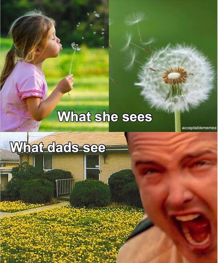 your-grass.jpg
