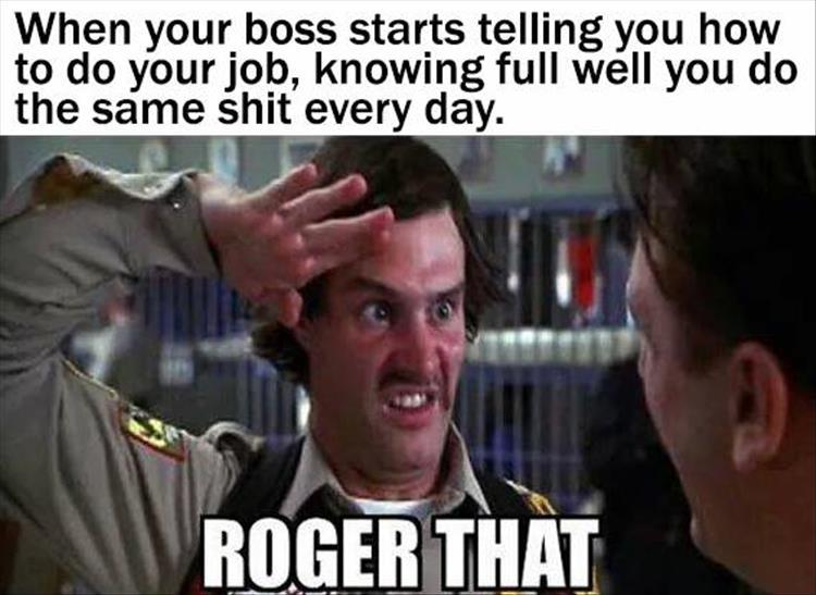 z-funny-14-1.jpg