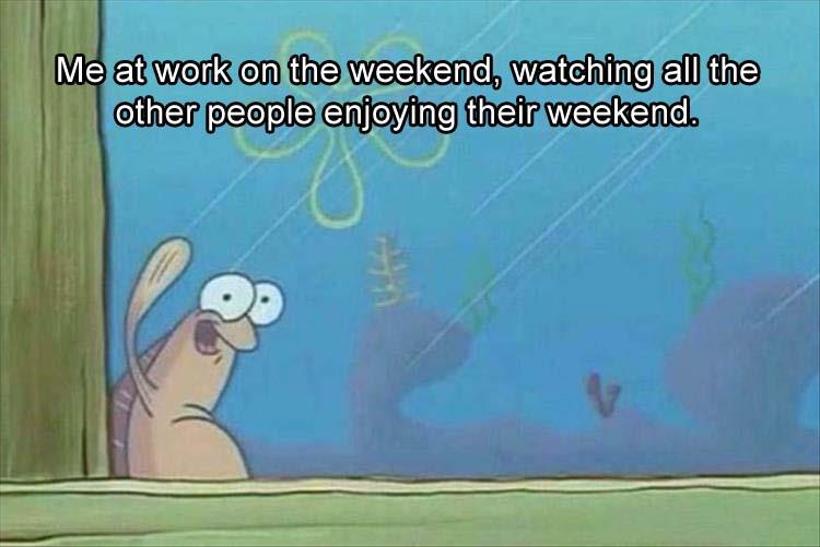 z-funny-15-15.jpg