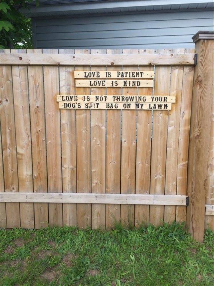 z-funny-18.jpg