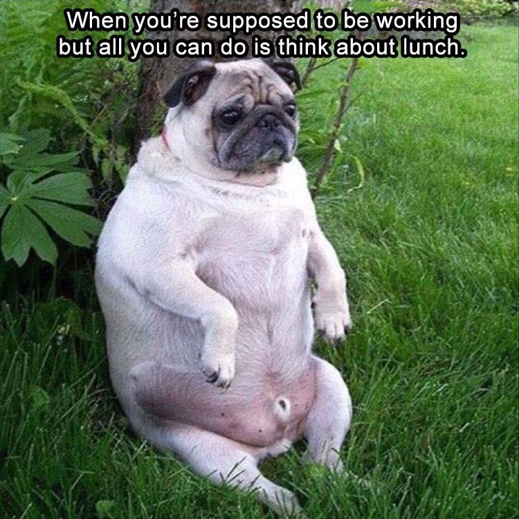z-funny-199.jpg