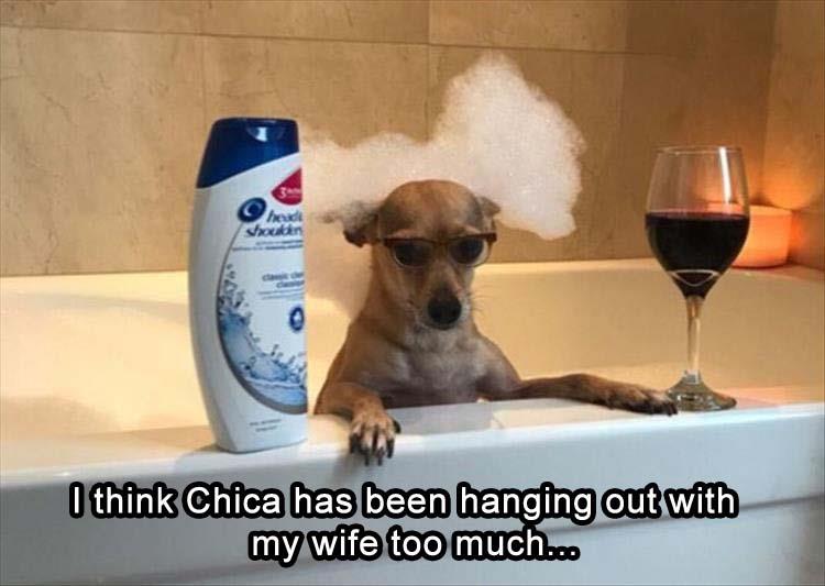 z-funny-2-13.jpg