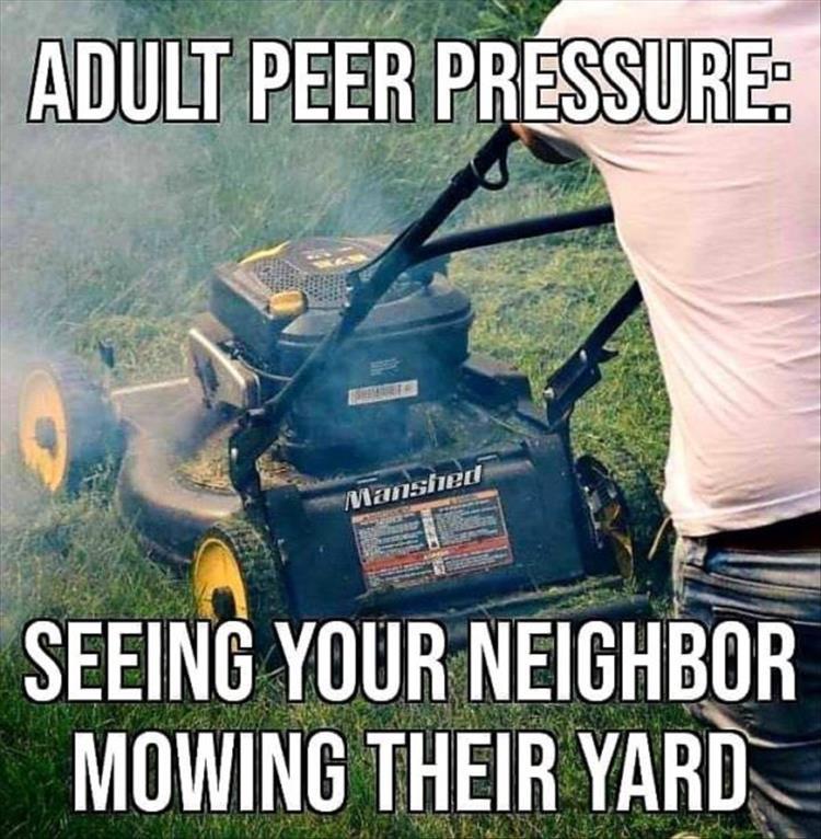 z-funny-2-6.jpg