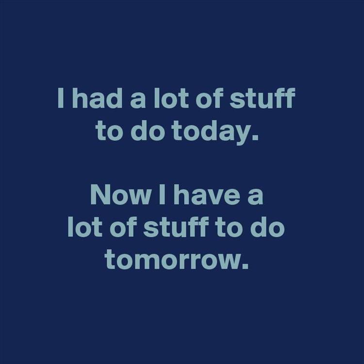 z-funny-203-3.jpg