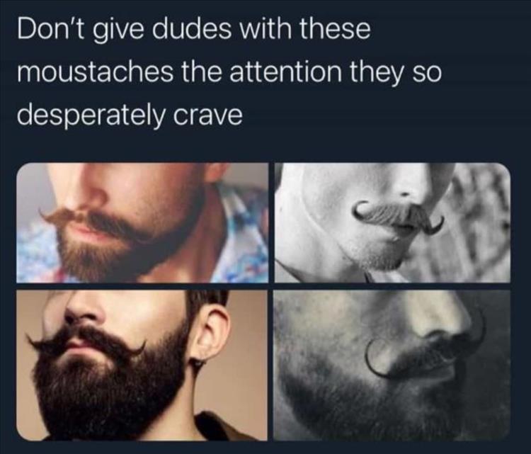 z-funny-205.jpg