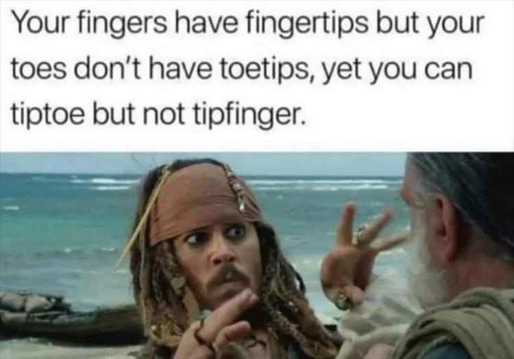 z-funny-233.jpg