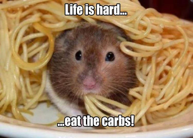 z-funny-234.jpg