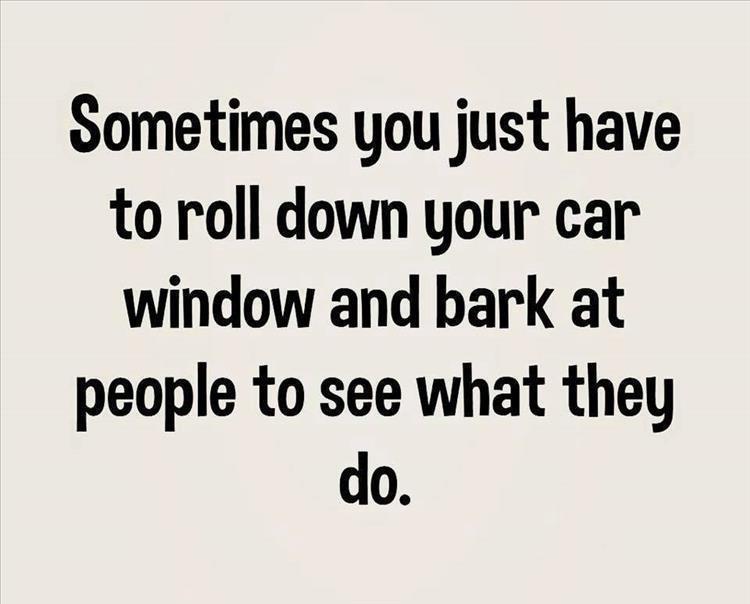 z-funny-247.jpg