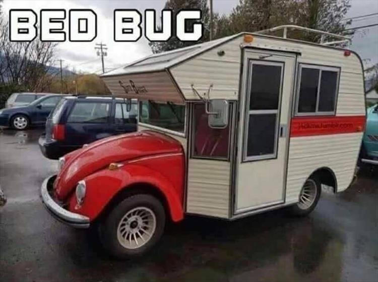 z-funny-25-1.jpg