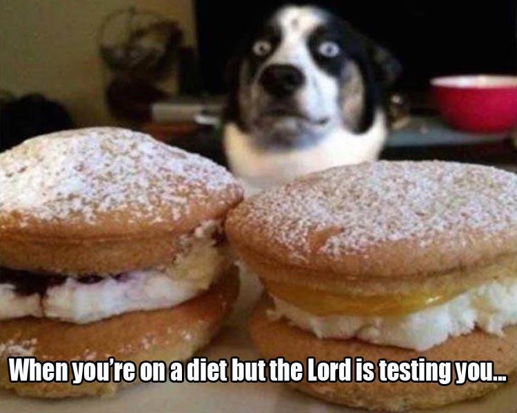 z-funny-26.jpg