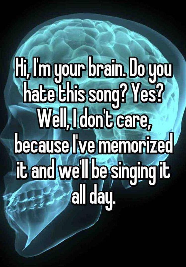 z-funny-27-10.jpg