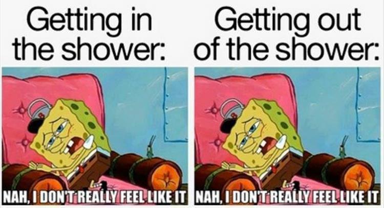 z-funny-27.jpg