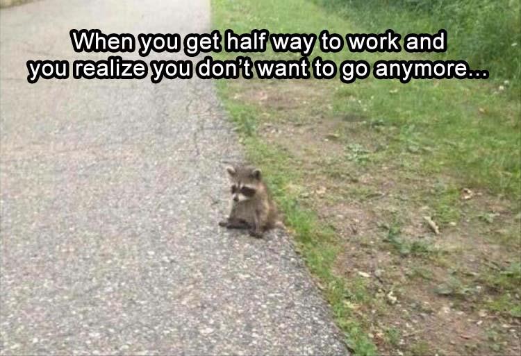 z-funny-30-9.jpg