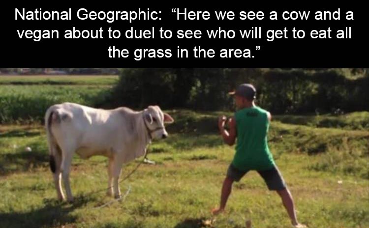 z-funny-5-8.jpg