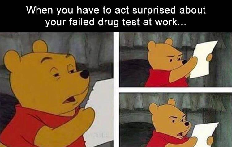 z-funny-52-2.jpg