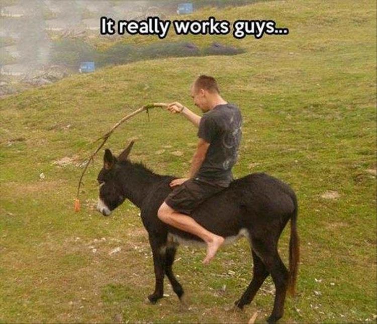 z-funny-73-1.jpg