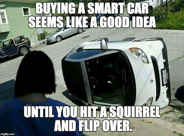 z-funny-photos-29.jpg