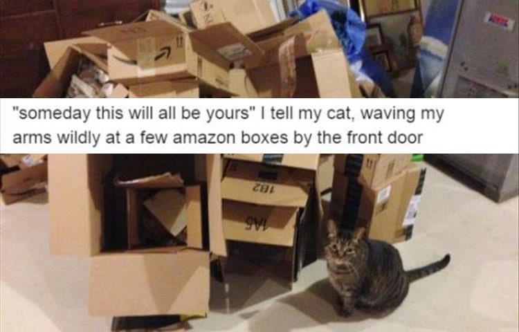 z-funny-pics-13-2.jpg