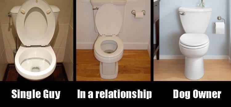 z-funny-pictures-1.jpg