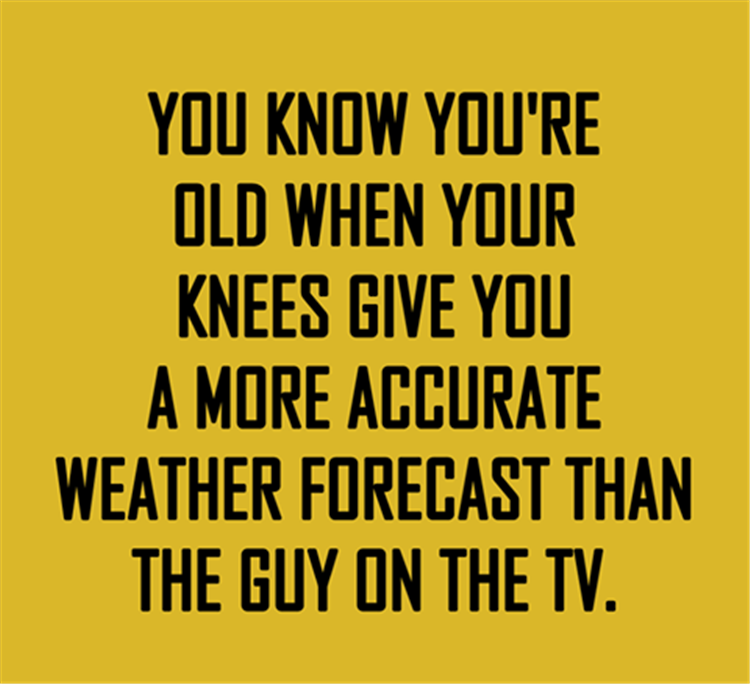 z-funny-pictures-4.png