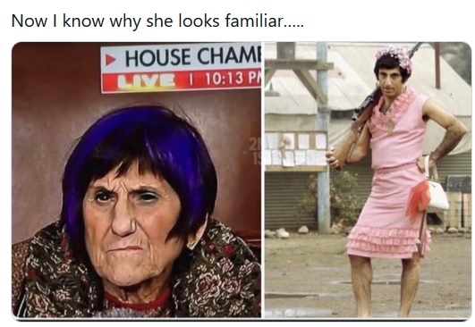 z-looks.jpg