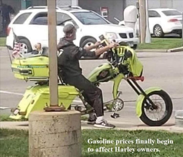z-memers-5.jpg