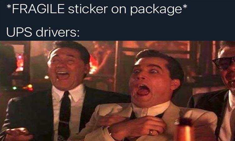 z-memers-88-1.jpg