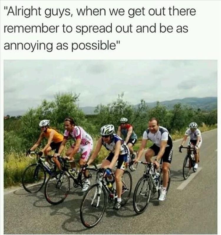 z-memes-33-1.jpg